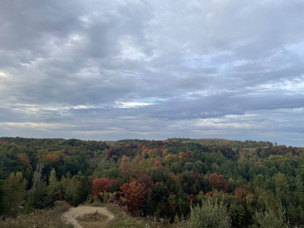 Nature Walk View